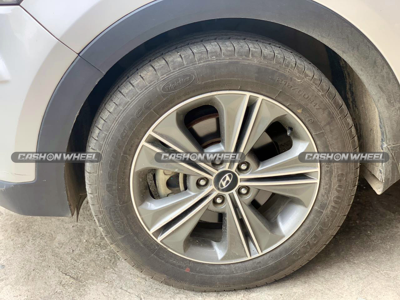 Cash on Wheel
